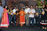 Kevvu Keka Movie Audio Release